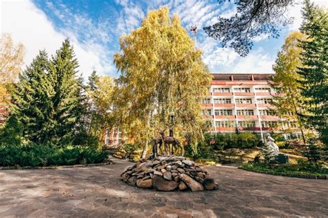 Лечебные радоновые воды, сапропелевые грязи и особый воздух: врачи ...