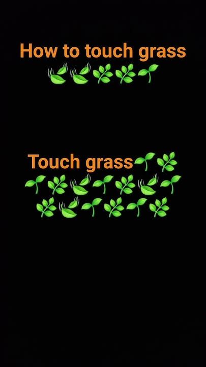 How To Touch Grass Youtube