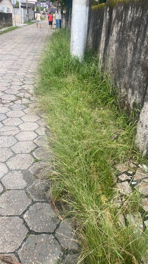 Penha Mato Chama Aten O Pelas Ruas De Arma O Do Itapocoroy E Praia