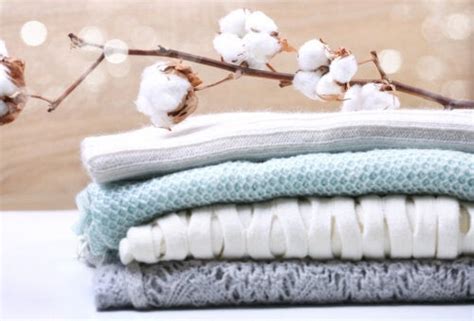 Benefits of cotton clothes and how to wash them - Archyde