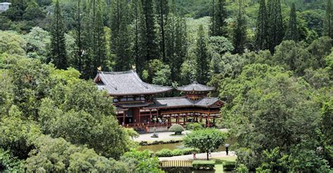 traditional temple   forest  stock photo