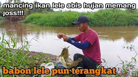 Memancing Sehabis Hujan Memang Mantap Ikan Ikan Pada Kelaparan