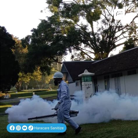 Jasa Fogging Nyamuk Di Medan Terbaik No 1 Haracare Id