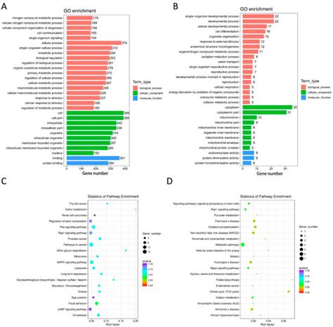 Life Free Full Text Integrated Analysis Of The Altered LncRNA