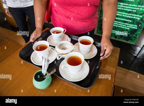 Tea factory, Nuwara Eliya, Sri Lanka Stock Photo - Alamy