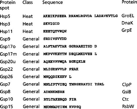 Figure 2 From Analysis Of The Induction Of General Stress Proteins Of