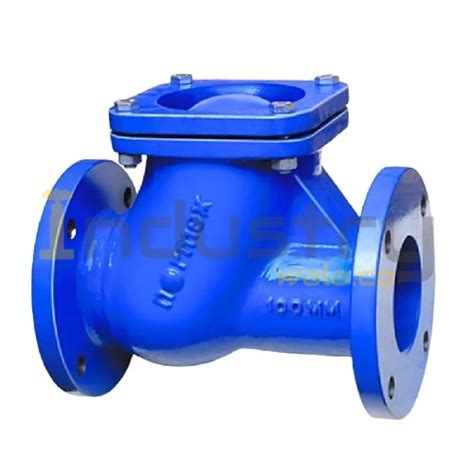 Cast Iron Non Return Valve Ball Type Normax Flange End Industrywala