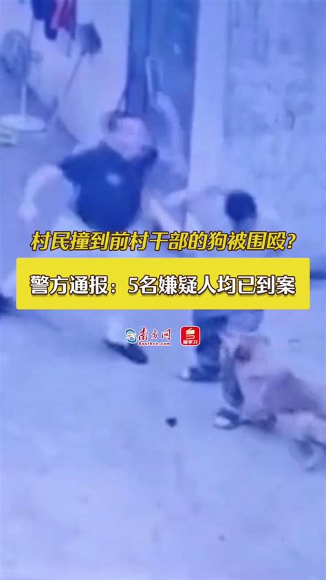 南方网广东权威融媒平台