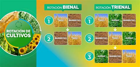 Agricultura Sustentable Buenas Pr Cticas Agr Colas Casafe