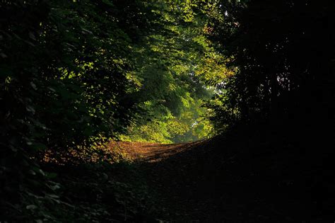 7 čarobnih zimskih pohodniških poti ob čudovitih panoramskih točkah