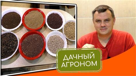 Зеленые удобрения: 7 лучших сидератов. Скачай книгу о сидератах ...