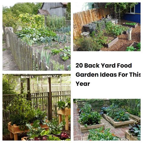 20 Back Yard Food Garden Ideas For This Year | SharonSable