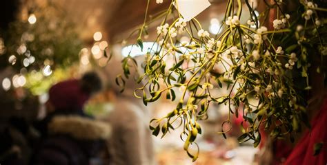 The Daily Dozen: 12 things to know about Czechia today - Prague, Czech ...