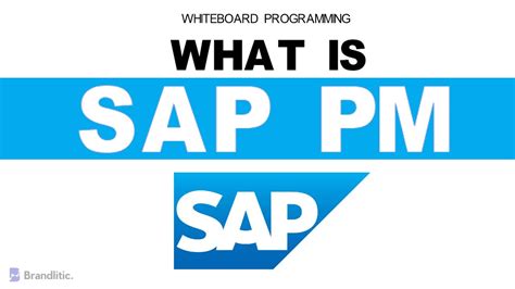 What Is Sap Pm Explained Introduction To Sap Pm Overview And Basics