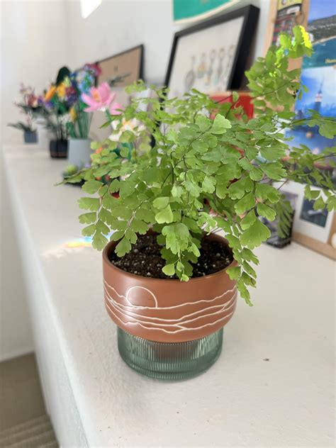 Should I be refilling the water cache every time all the water has