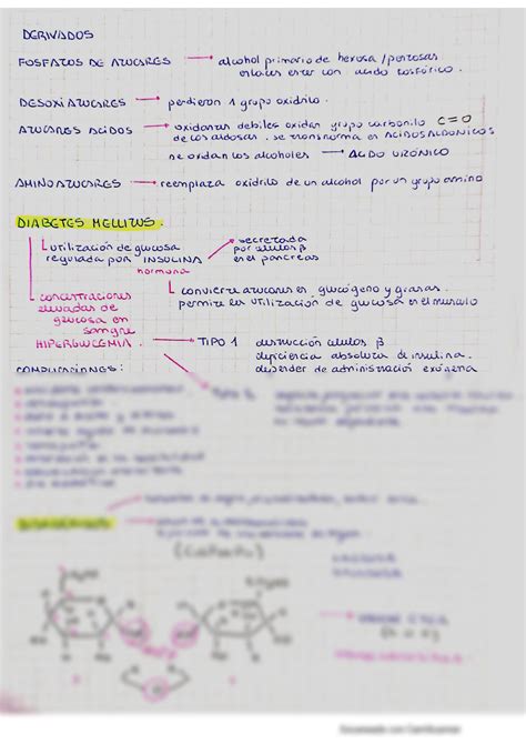 SOLUTION Unidad 1 2 Introducci N A La Biolog A Celular Studypool