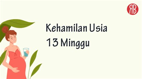 Kehamilan 13 Minggu Perkembangan Janin Ciri Dan Gejala Yang