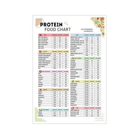 PROTEIN FOOD CHART food list poster Healthy eating poster suitable for