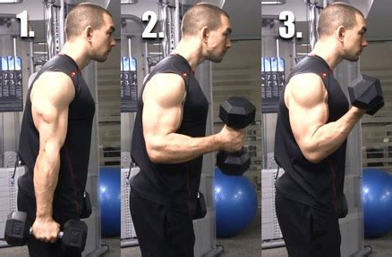 Supinating Dumbbell Bicep Curls: Benefits, Proper Form + 1 Tip