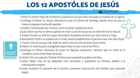 Los 12 Apóstoles De Jesús Un Resumen Concreto Cfn