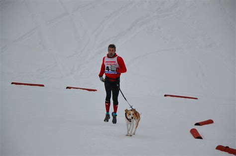 Canicross Blanc Arvieux En Queyras Beno T Lan On Coach Runner