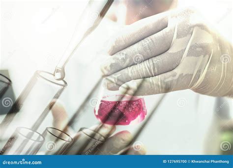 Experiment Or Scientist Holding Test Tube In Science Lab Stock Photo