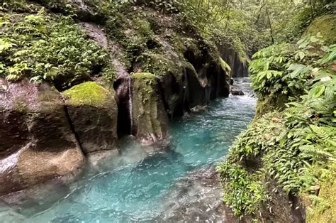 destinasi wisata alam  langkat  menyuguhkan pesona alam