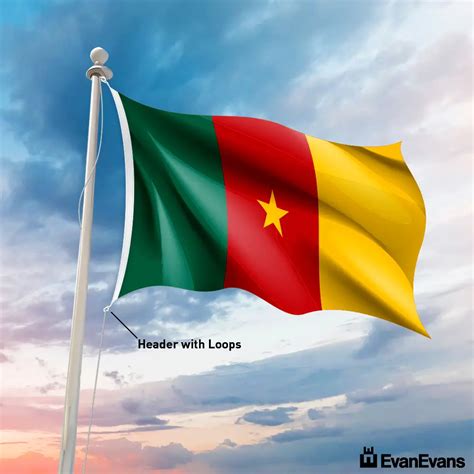 Fully Sewn Cameroon Flag - Evan Evans