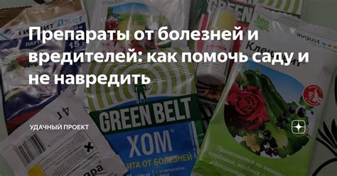 Препараты от болезней и вредителей: как помочь саду и не навредить ...