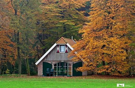 Huis Midden In Het Bos