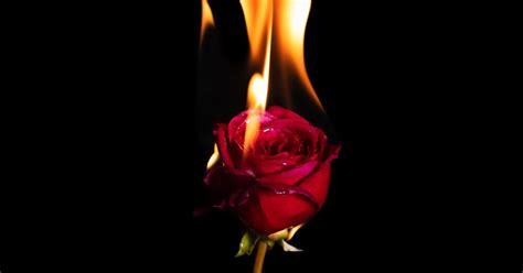 How Spicy Books Helped Their Sex Lives Middle East