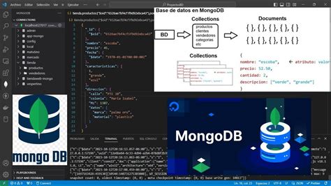 Introducci N A Mongodb Crear Database Collections And Documents