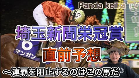 【埼玉新聞栄冠賞】2022 直前予想〜パンダ競馬tv Youtube