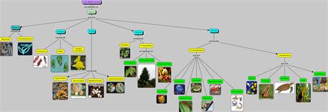 Reinos De La Biodiversidad