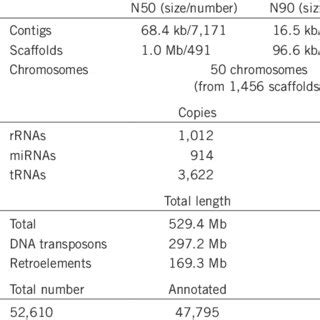 summary of genome assembly | Download Table 