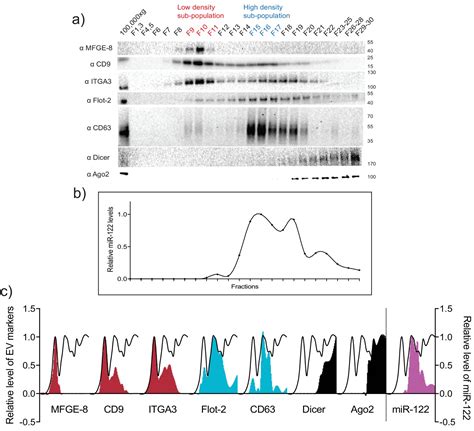 Figures And Data In Distinct Mechanisms Of Microrna Sorting Into Cancer