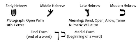 Hebrew Letter Kaph — Resting On His Word