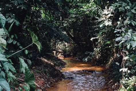 TOURISM: DISCOVER THE BEAUTY OF AWHUM WATERFALLS AND CAVES