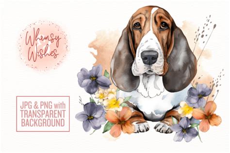 Floral Basset Hound Watercolor Graphic By Whimsyandwishes Creative