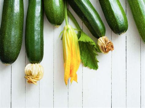 The Top 10 Advantages Of Zucchini Fit Well Future