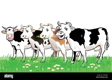 Field of cows farm Stock Vector Images - Alamy