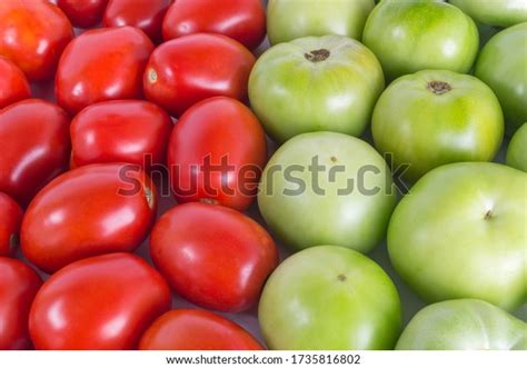 Set Red Green Tomato Background Stock Photo 1735816802 Shutterstock