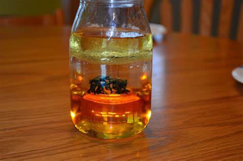 density experiment  kids