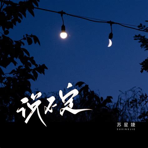 ‎《说不定 Single》 苏星婕的专辑 Apple Music