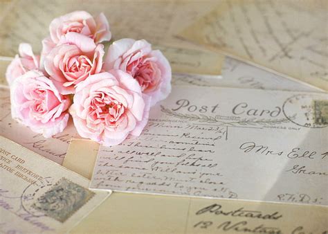 Vintage Pink Roses Wallpaper