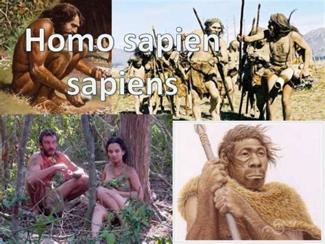 Género Homo