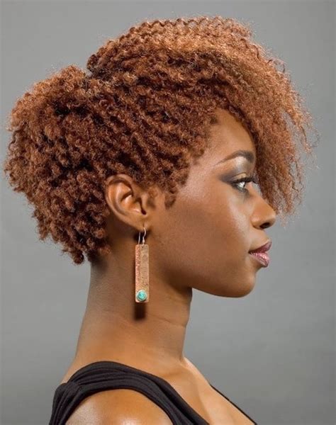 20 Afro Hairstyles For African American Womans Feed Inspiration