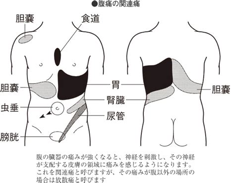 右側腹部 痛み