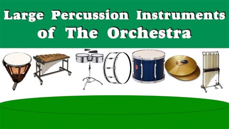 Orchestra Percussion Instruments