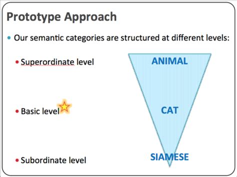 Cognitive Psychology Chapter Flashcards Quizlet